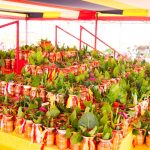 कोटिहोममा रहेका जलसहित कलश लैजादै भक्तजन