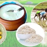 आज असार १५: धान दिवस र दही चिउराको सांस्कृतिक पर्व मनाइँदै